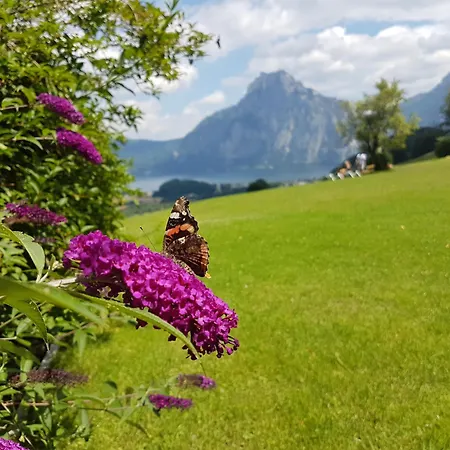 Attwengerhof * Traunkirchen