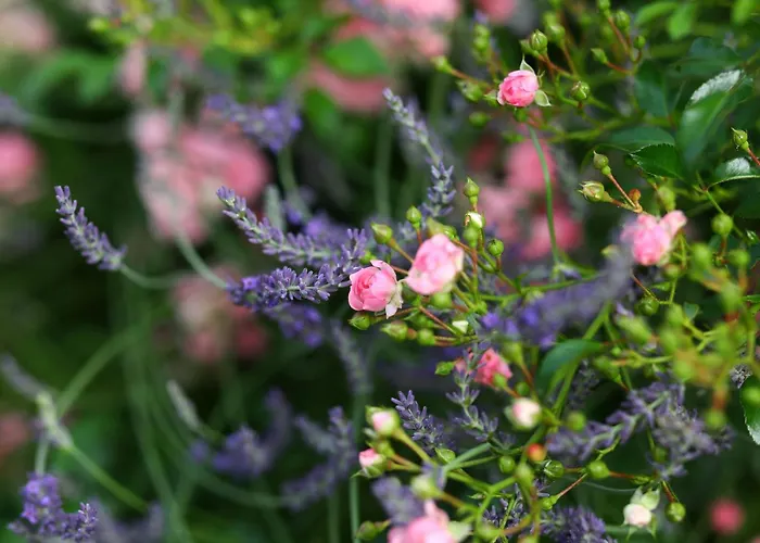 Appartement Attwengerhof *