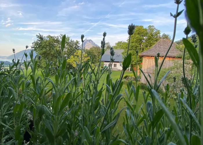 Appartement Attwengerhof *