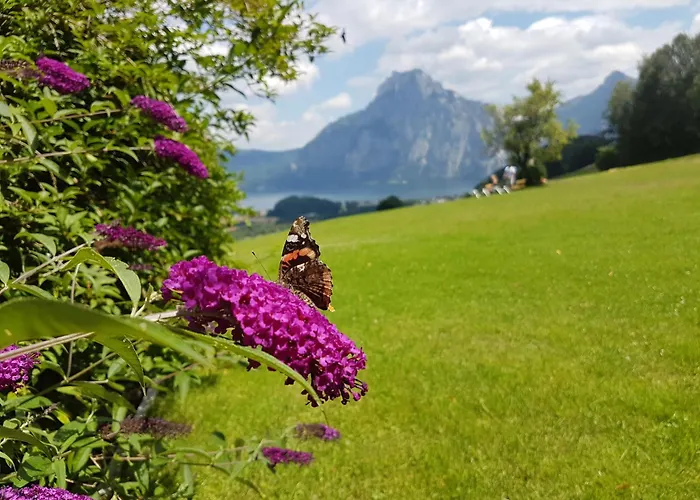 Attwengerhof * Traunkirchen