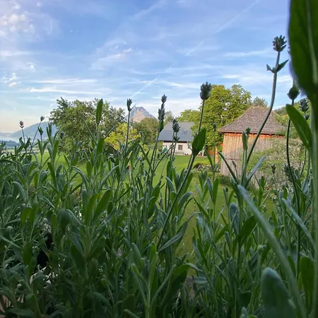 Apartment Attwengerhof *